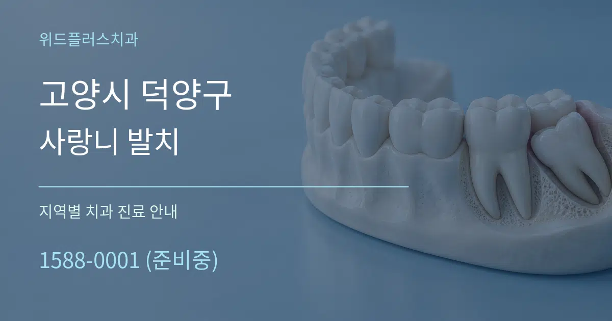 고양시 덕양구 사랑니 발치 대표 안내 그래픽