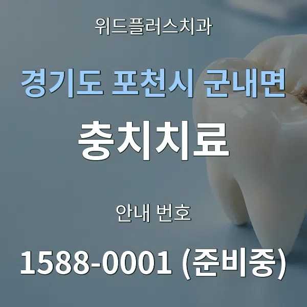 경기도 포천시 군내면 충치치료 대표 안내 그래픽
