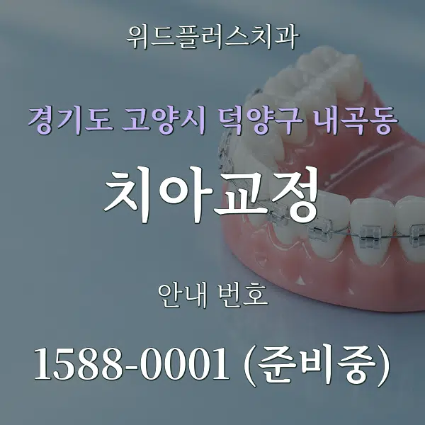경기도 고양시 덕양구 내곡동 치아교정 대표 안내 그래픽