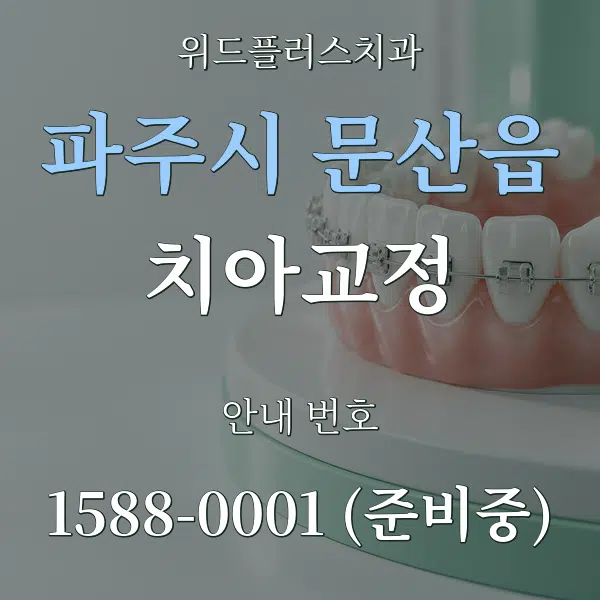 파주시 문산읍 치아교정 대표 안내 그래픽