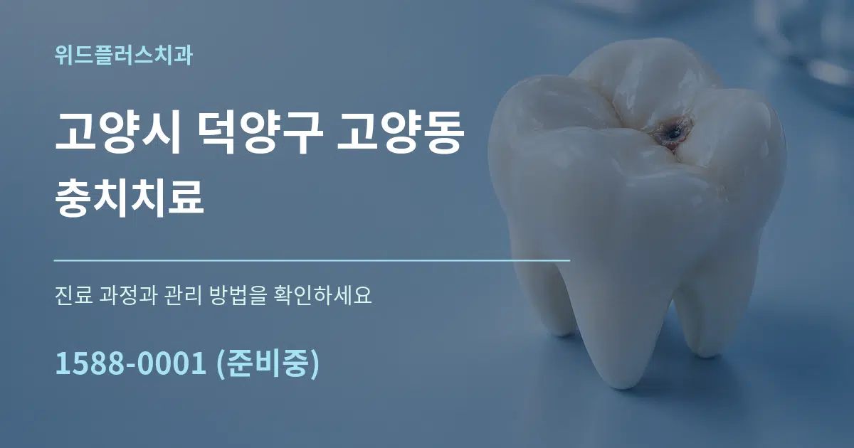 고양시 덕양구 고양동 충치치료 서비스 이용 안내 그래픽