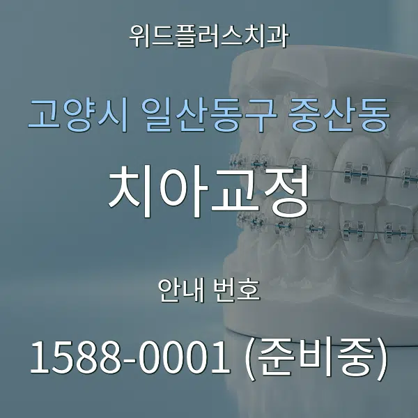 고양시 일산동구 중산동 치아교정 대표 안내 그래픽