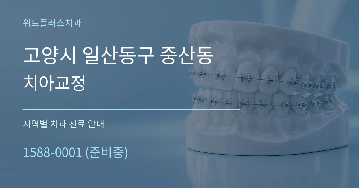 고양시 일산동구 중산동 치아교정 대표 안내 그래픽