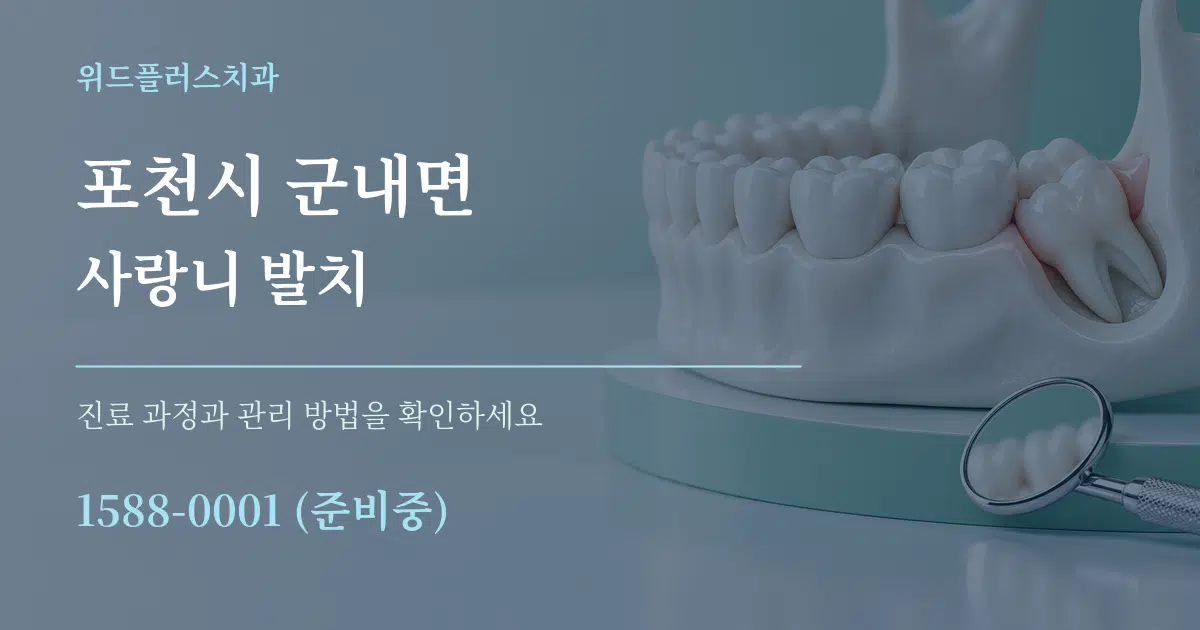 포천시 군내면 사랑니 발치 서비스 이용 안내 그래픽