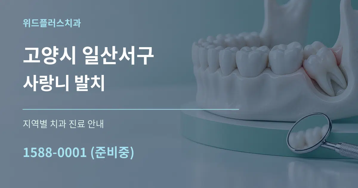 고양시 일산서구 사랑니 발치 대표 안내 그래픽