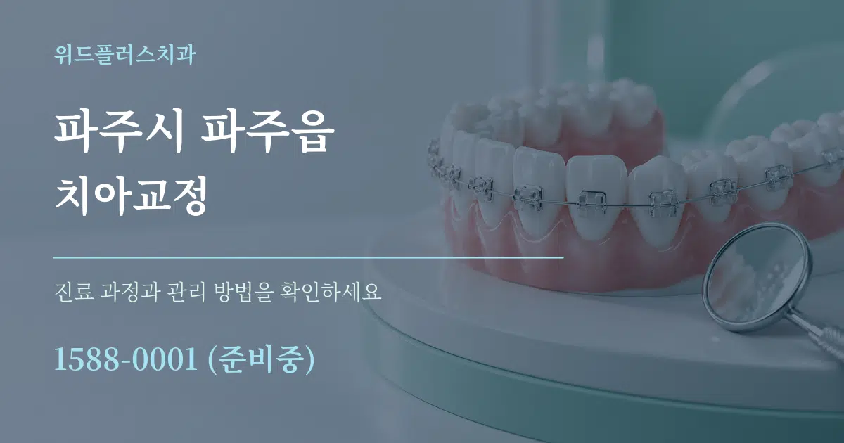 파주시 파주읍 치아교정 서비스 이용 안내 그래픽