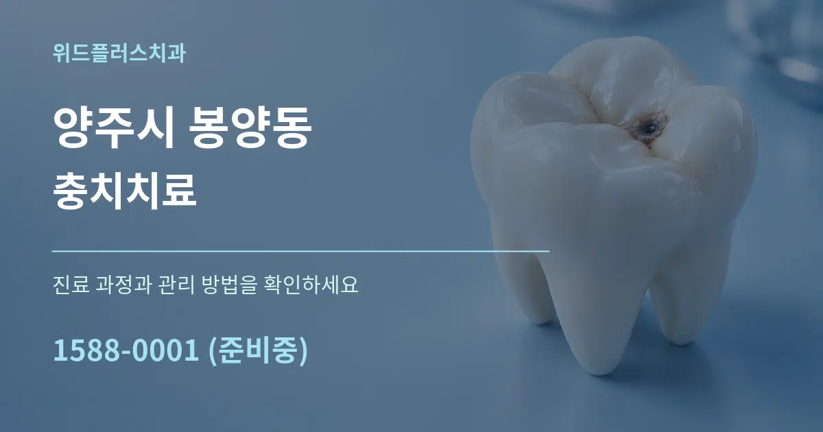 양주시 봉양동 충치치료 작업 조건 안내 그래픽