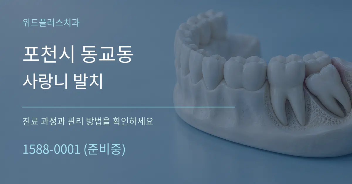 포천시 동교동 사랑니 발치 서비스 이용 안내 그래픽