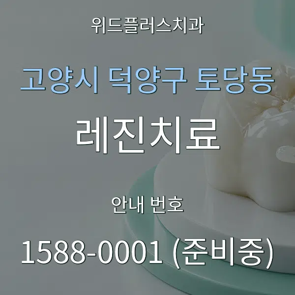 고양시 덕양구 토당동 레진치료 대표 안내 그래픽
