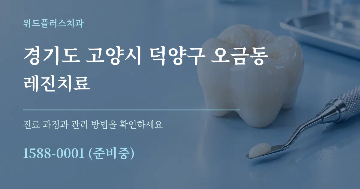 경기도 고양시 덕양구 오금동 레진치료 서비스 이용 안내 그래픽