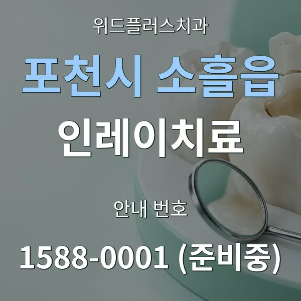 포천시 소흘읍 인레이치료 대표 안내 그래픽