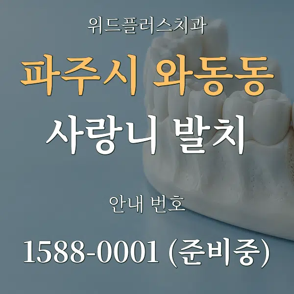 파주시 와동동 사랑니 발치 대표 안내 그래픽