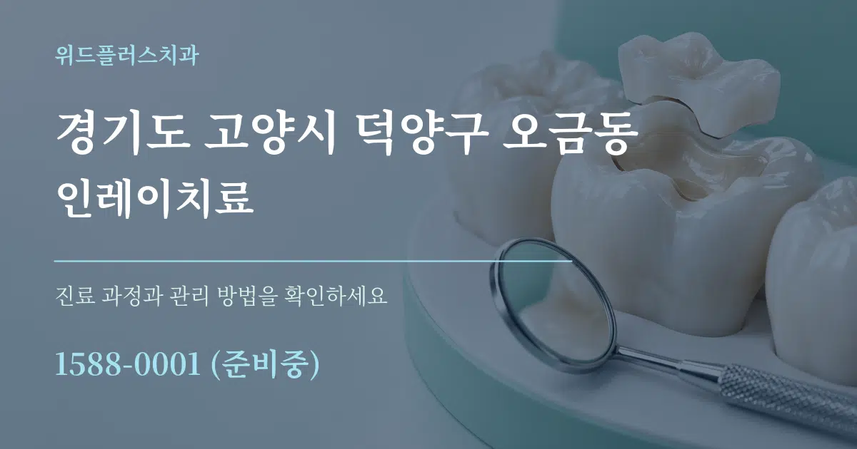 경기도 고양시 덕양구 오금동 인레이치료 작업 조건 안내 그래픽