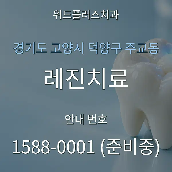 경기도 고양시 덕양구 주교동 레진치료 대표 안내 그래픽