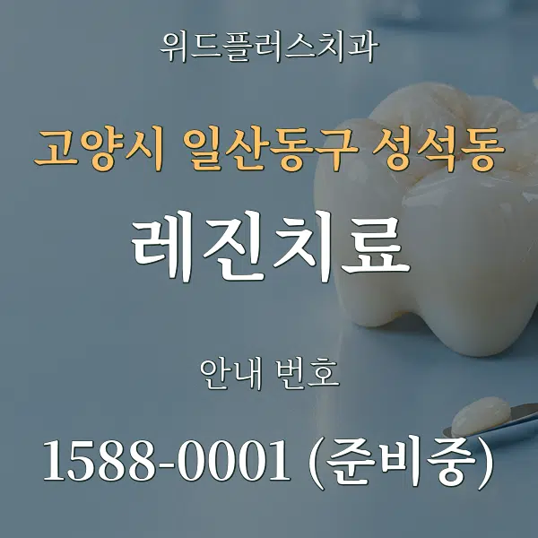 고양시 일산동구 성석동 레진치료 대표 안내 그래픽