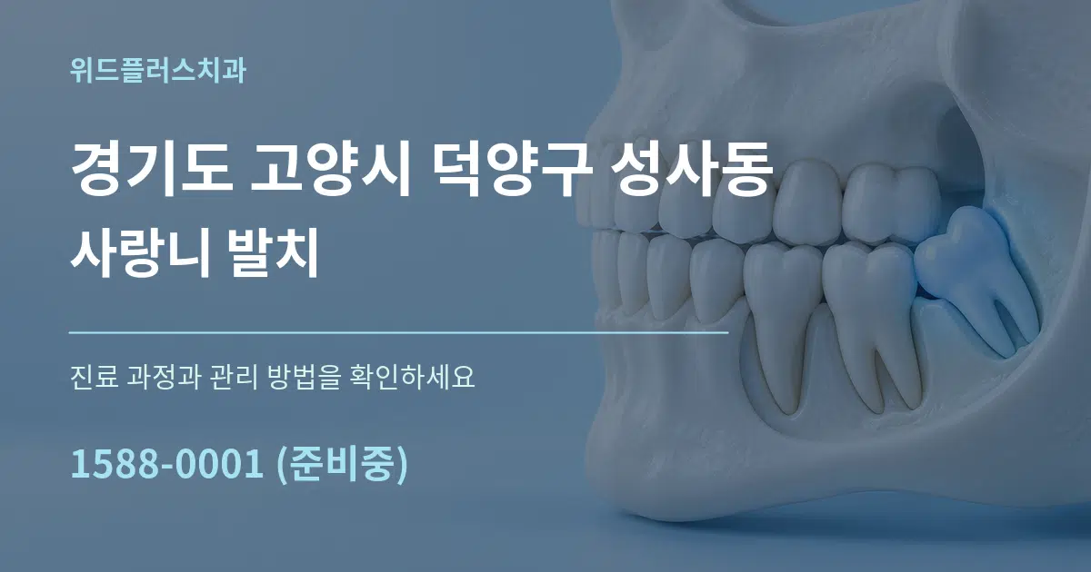 경기도 고양시 덕양구 성사동 사랑니 발치 작업 조건 안내 그래픽