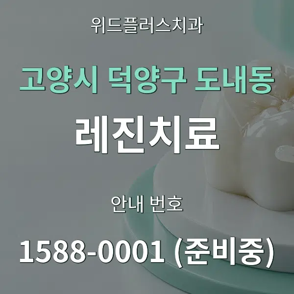 고양시 덕양구 도내동 레진치료 대표 안내 그래픽
