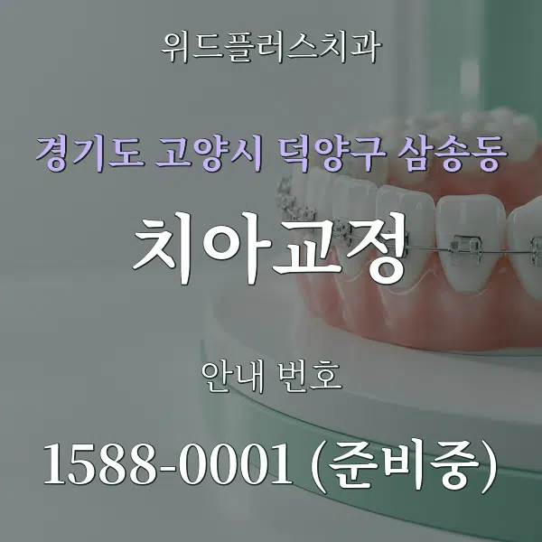 경기도 고양시 덕양구 삼송동 치아교정 대표 안내 그래픽