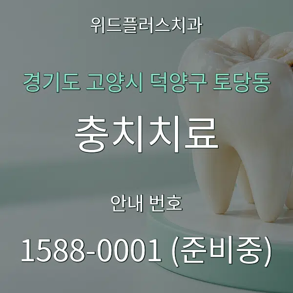 경기도 고양시 덕양구 토당동 충치치료 대표 안내 그래픽