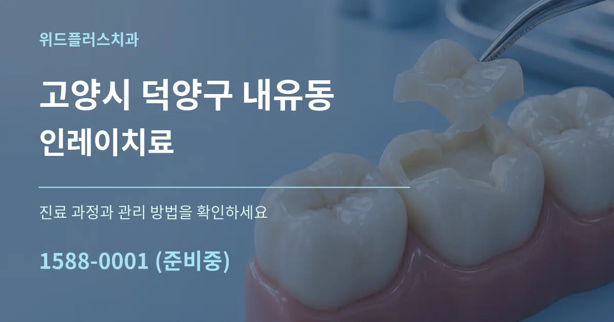 고양시 덕양구 내유동 인레이치료 서비스 이용 안내 그래픽