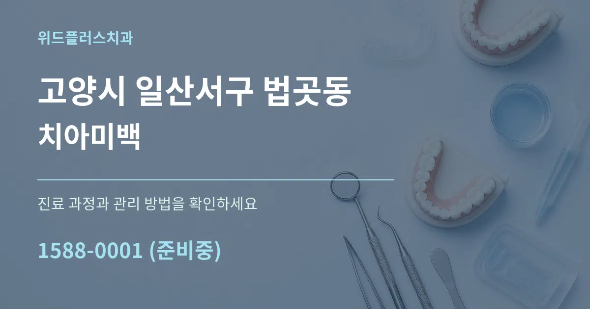 고양시 일산서구 법곳동 치아미백 작업 조건 안내 그래픽