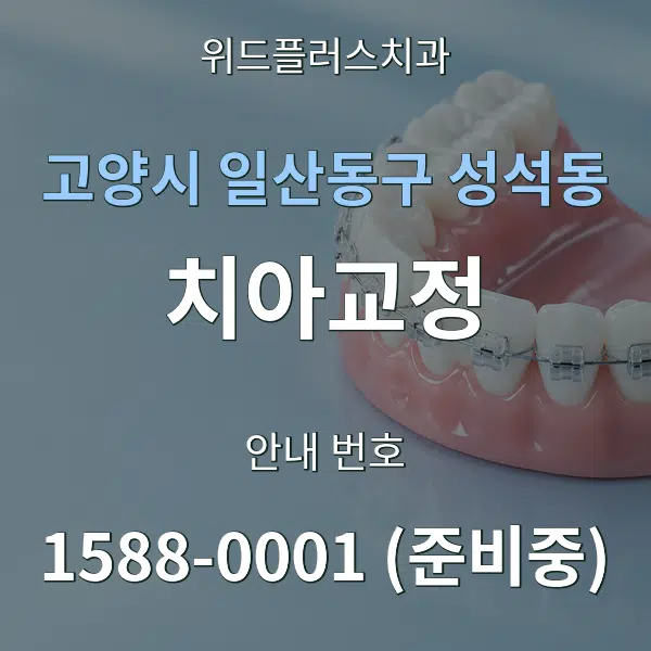 고양시 일산동구 성석동 치아교정 대표 안내 그래픽