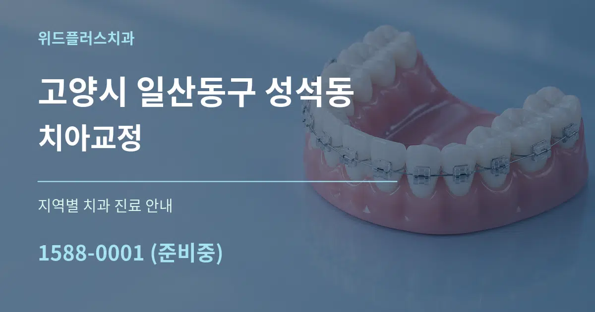 고양시 일산동구 성석동 치아교정 대표 안내 그래픽