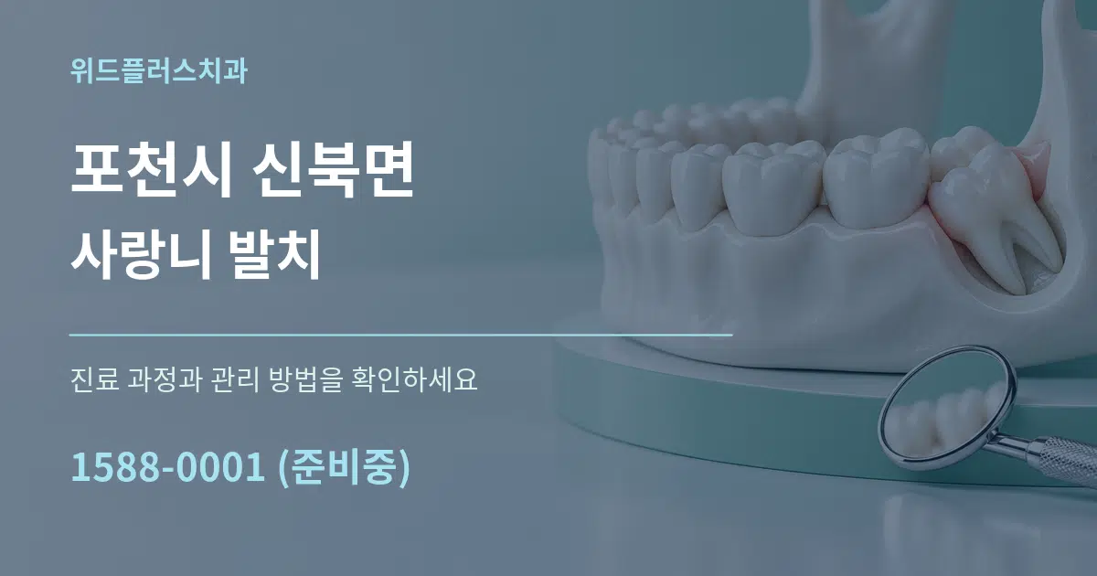 포천시 신북면 사랑니 발치 서비스 이용 안내 그래픽