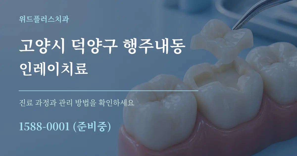 고양시 덕양구 행주내동 인레이치료 서비스 이용 안내 그래픽