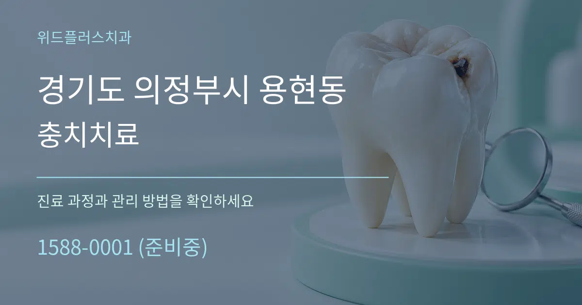 경기도 의정부시 용현동 충치치료 서비스 이용 안내 그래픽