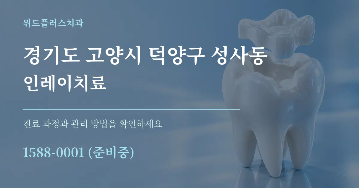 경기도 고양시 덕양구 성사동 인레이치료 작업 조건 안내 그래픽