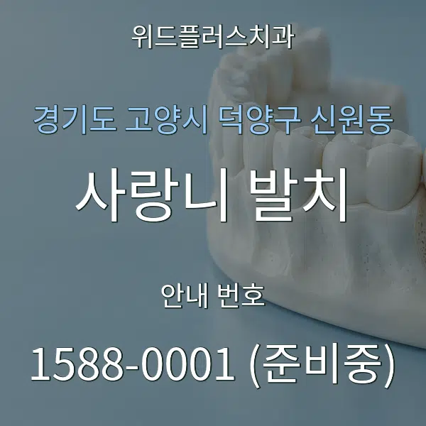 경기도 고양시 덕양구 신원동 사랑니 발치 대표 안내 그래픽