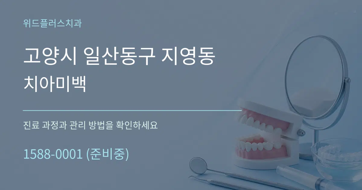 고양시 일산동구 지영동 치아미백 서비스 이용 안내 그래픽