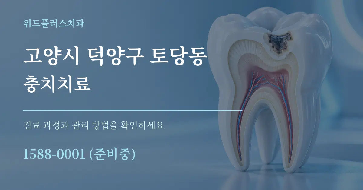 고양시 덕양구 토당동 충치치료 서비스 이용 안내 그래픽