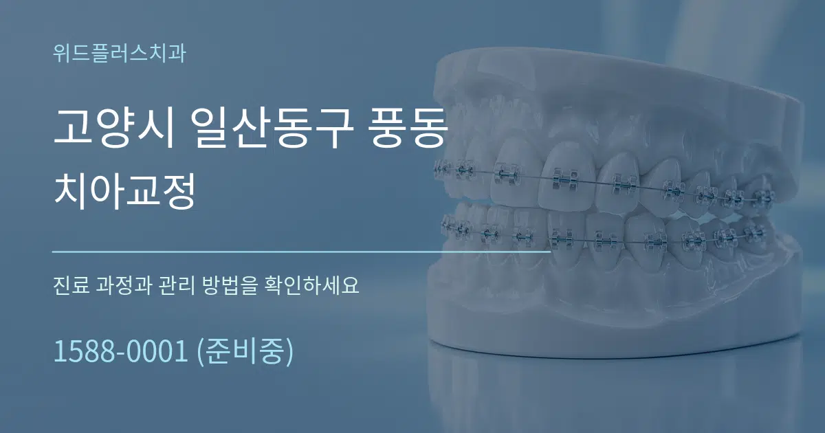 고양시 일산동구 풍동 치아교정 작업 조건 안내 그래픽