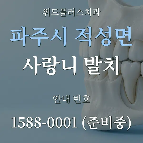 파주시 적성면 사랑니 발치 대표 안내 그래픽