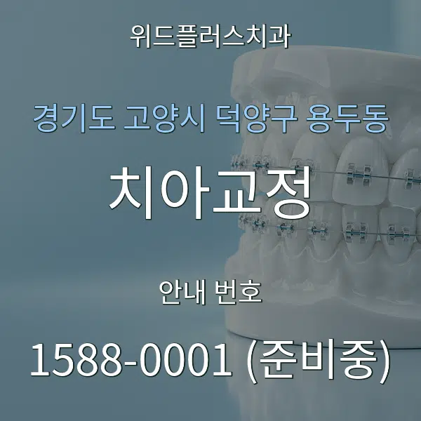 경기도 고양시 덕양구 용두동 치아교정 대표 안내 그래픽