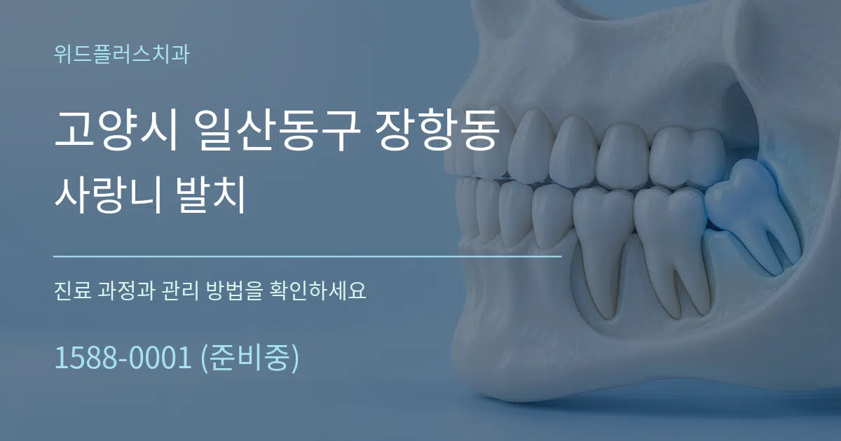 고양시 일산동구 장항동 사랑니 발치 작업 조건 안내 그래픽