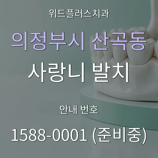 의정부시 산곡동 사랑니 발치 대표 안내 그래픽