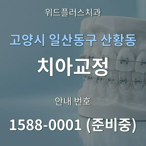 고양시 일산동구 산황동 치아교정 대표 안내 그래픽