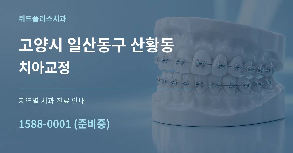고양시 일산동구 산황동 치아교정 대표 안내 그래픽