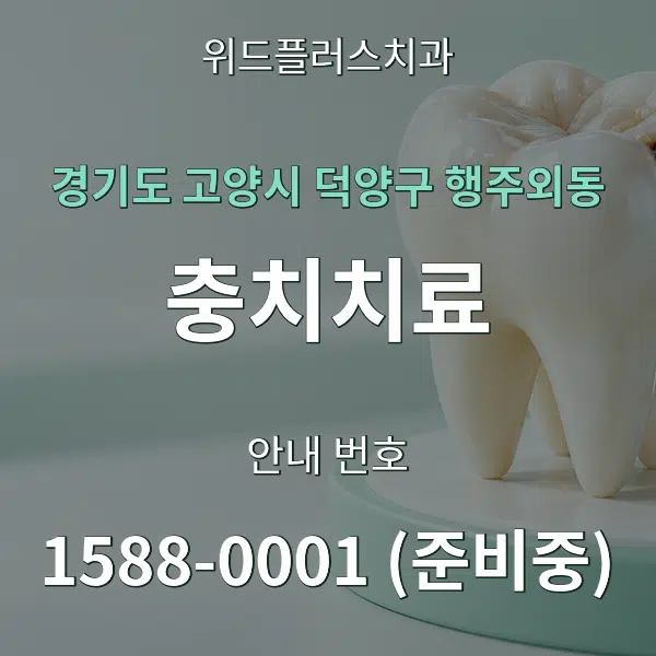 경기도 고양시 덕양구 행주외동 충치치료 대표 안내 그래픽