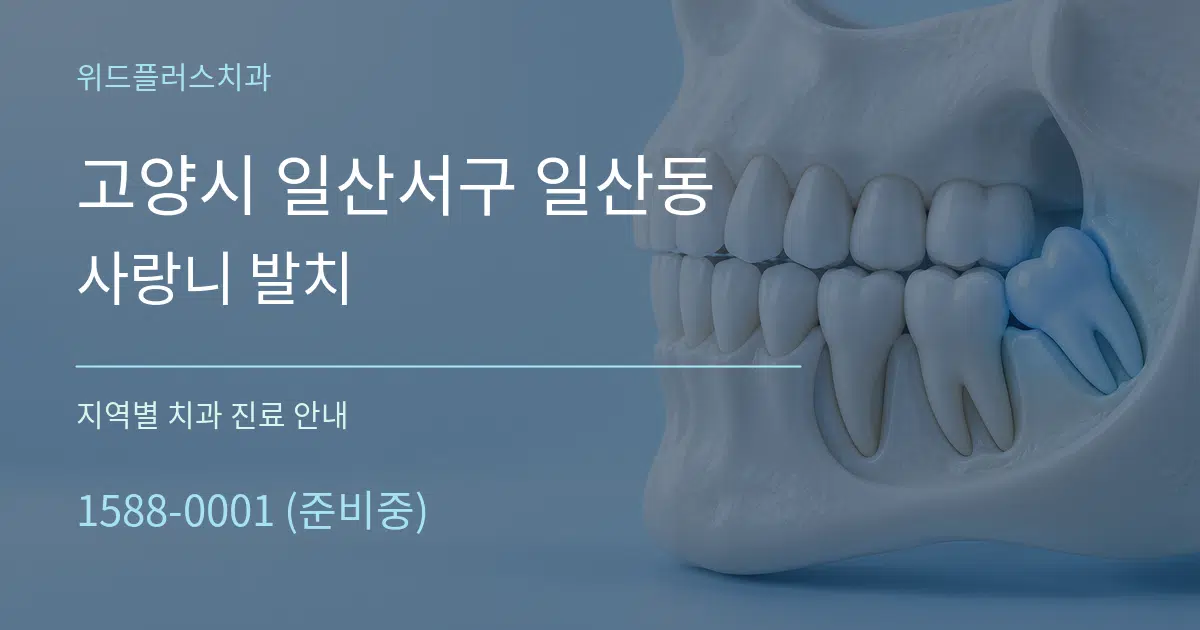 고양시 일산서구 일산동 사랑니 발치 대표 안내 그래픽
