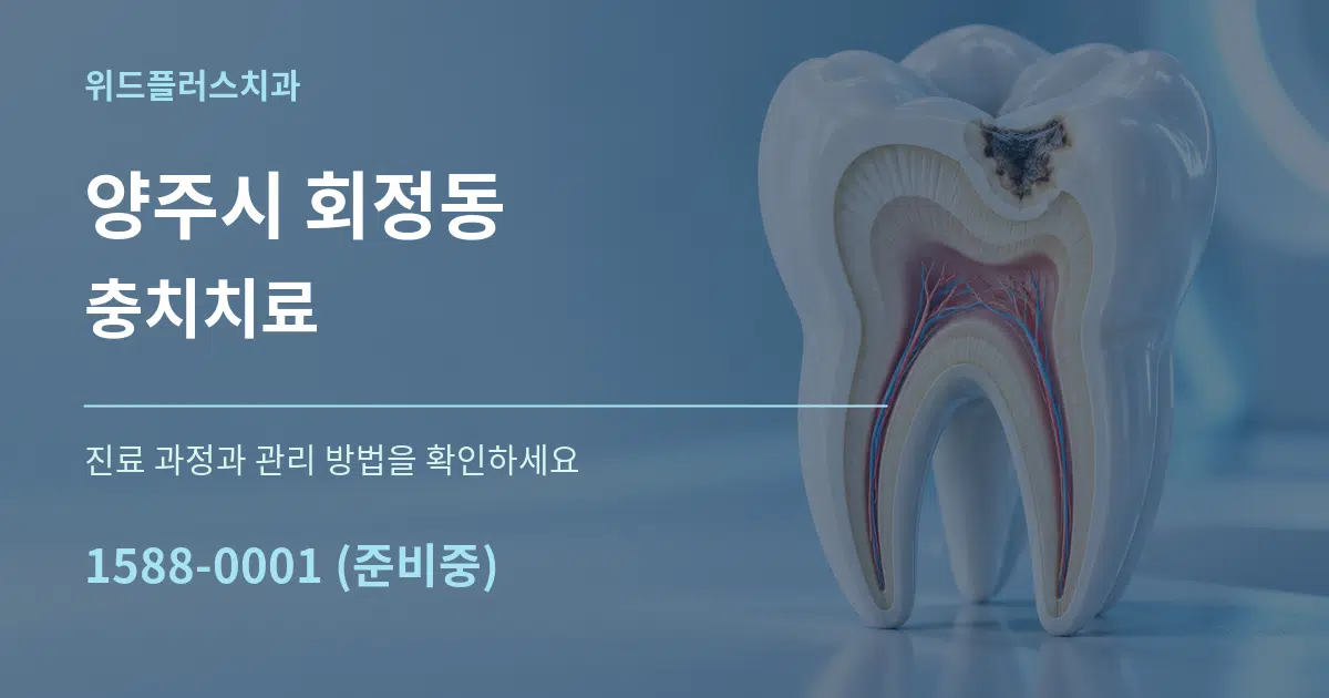 양주시 회정동 충치치료 서비스 이용 안내 그래픽