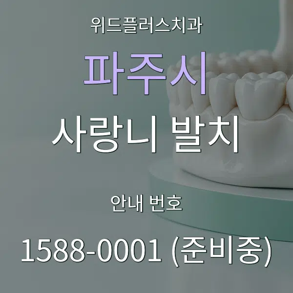 파주시 사랑니 발치 대표 안내 그래픽