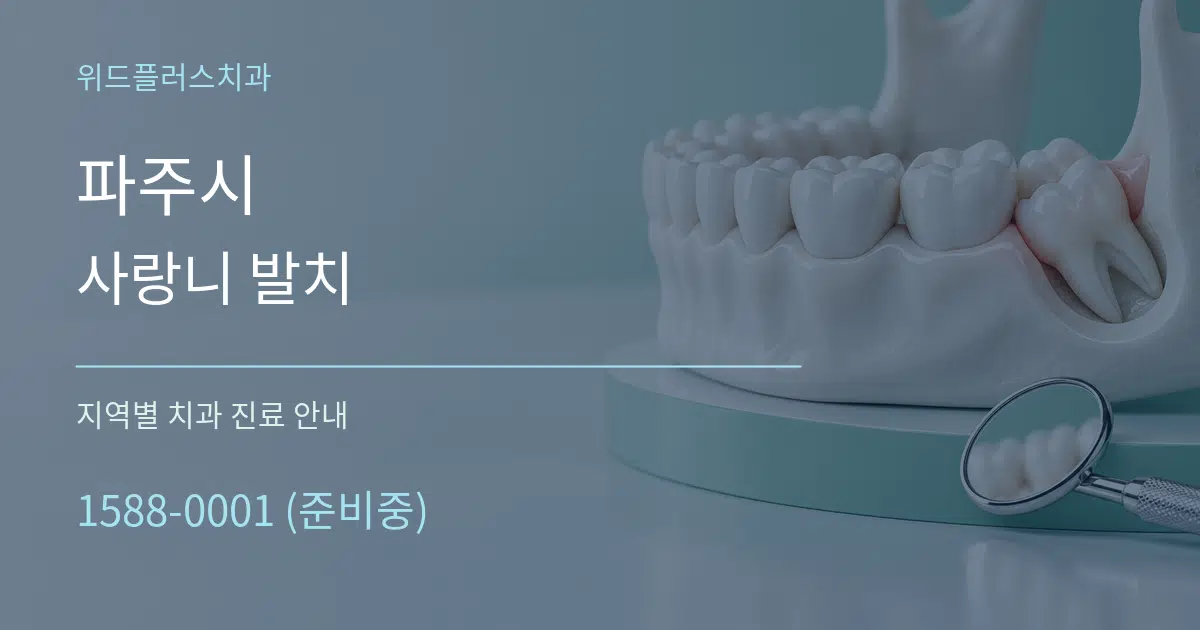 파주시 사랑니 발치 대표 안내 그래픽