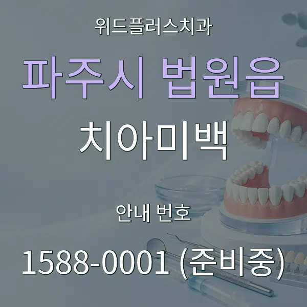 파주시 법원읍 치아미백 대표 안내 그래픽
