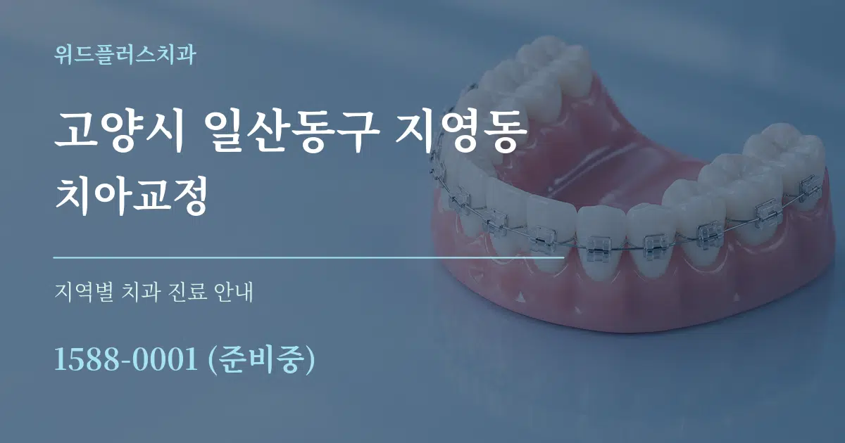 고양시 일산동구 지영동 치아교정 대표 안내 그래픽