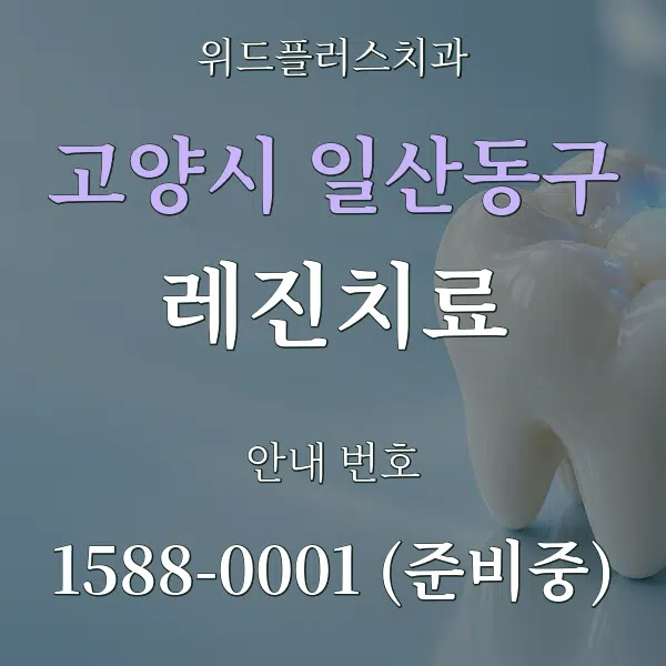 고양시 일산동구 레진치료 대표 안내 그래픽