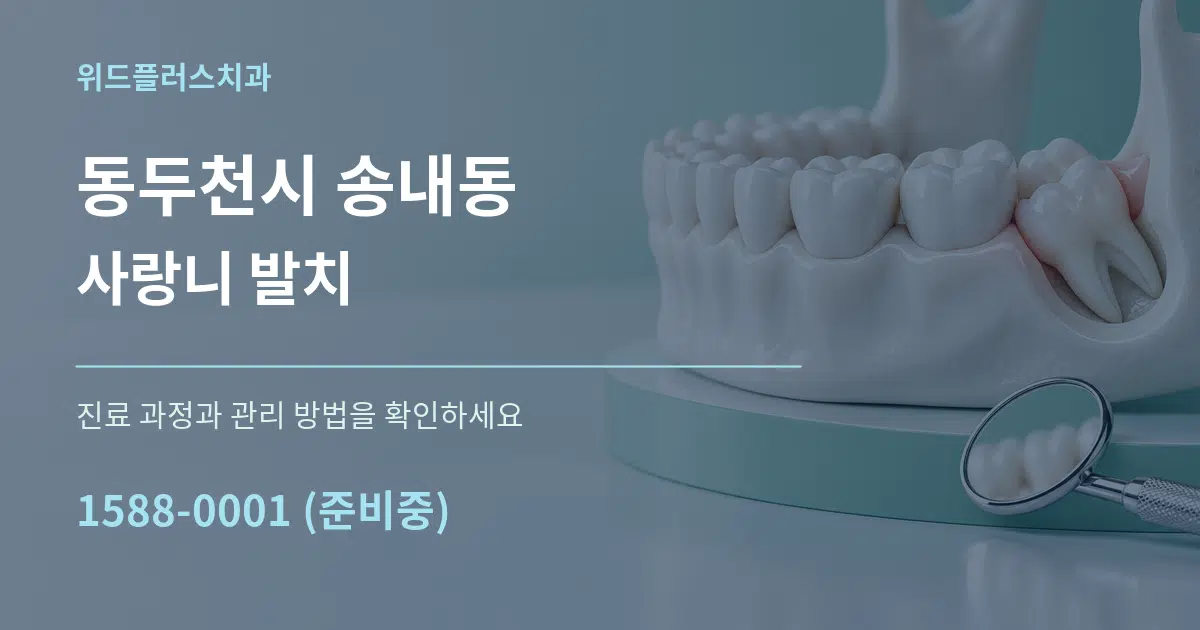 동두천시 송내동 사랑니 발치 작업 조건 안내 그래픽